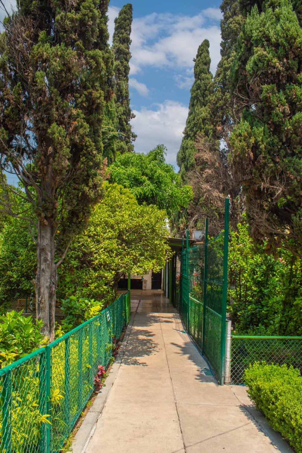 Corredor del colegio con jardines