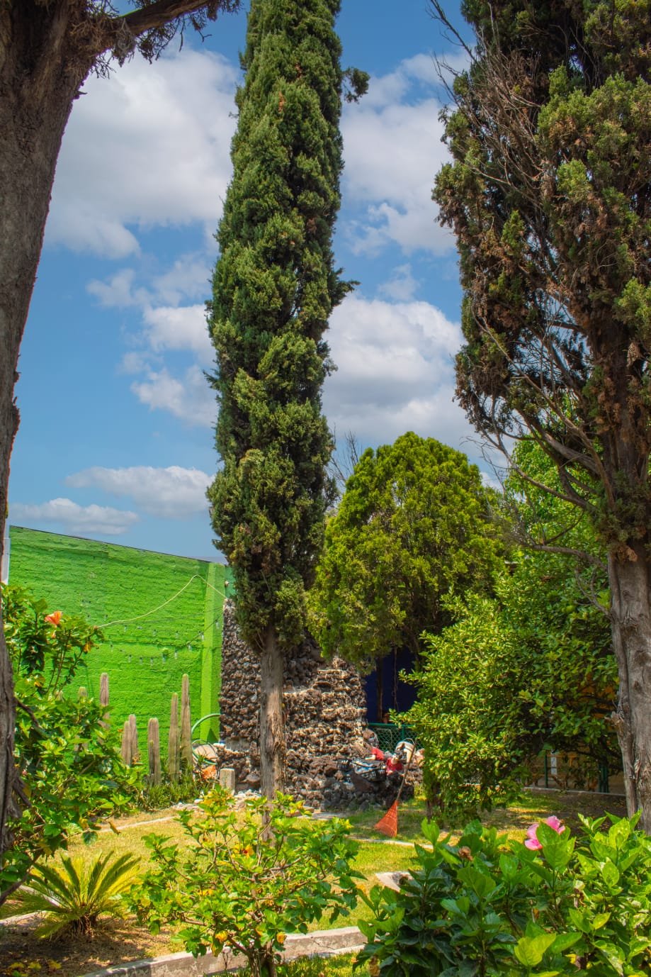 Jardín y área verde